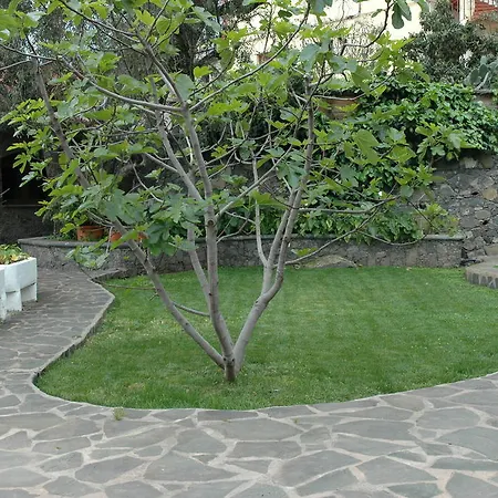 Villa Casa El Rincon De Loli Tenteniguada